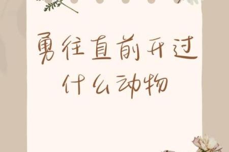 成语方寸不乱所代表的动物谜底及其原因解析