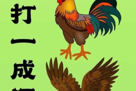 眉飞色舞着个成语最适合用来形容哪种动物的神态表情？