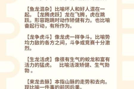 九牛一毛是什么生肖(九牛一毛是什么生肖动物最佳)