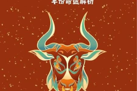 力挽狂澜打一生肖正确答案揭秘，传统文化中的生肖解析