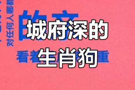 深藏不露打一生肖(深藏不露猜一肖)