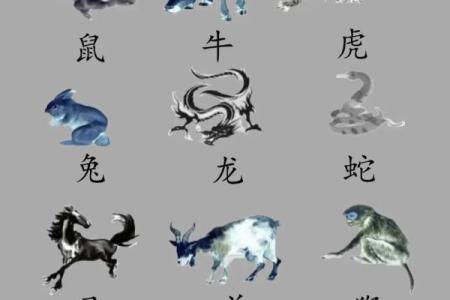 15年的属相是什么 15年的属相是什么生肖
