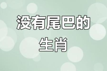 身份不明打一准确动物(身份不明猜生肖)