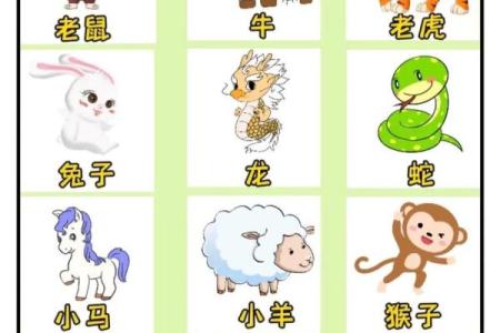 咸阳一炬猜一生肖 咸阳一炬比喻什么生肖