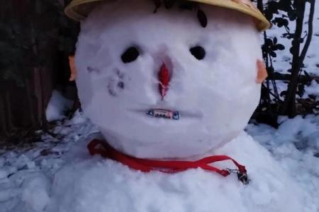 雪人是指什么生肖(雪人是指什么生肖,最佳答案)