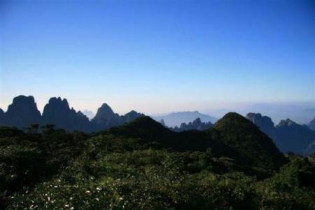 日暮西山是什么生肖(日暮西山是什么动物)