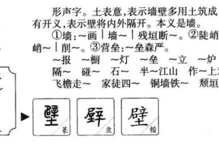 坚壁清野打一生肖(坚壁清野打一生肖是什么动物)