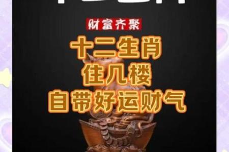 13楼什么生肖不能住 13楼适合哪些生肖