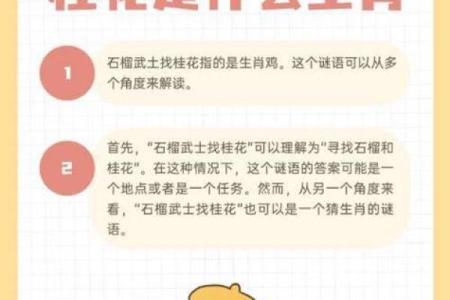 大街小巷是什么生肖？着个谜语的正确答案解析