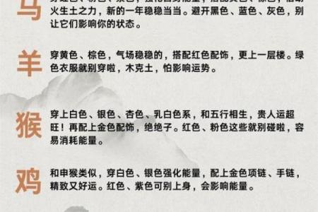 短小精悍的动物代表哪个生肖？求解