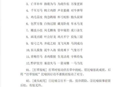 为虎作伥猜一生肖 为虎作伥打一个准确生肖