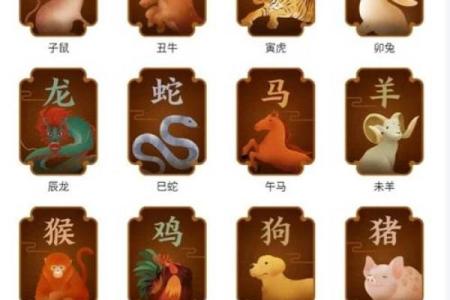 ‌龙前鸡后是什么生肖 → 蛇（巳蛇居中，龙午鸡酉）‌