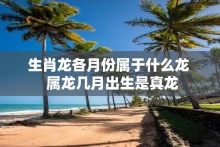 2012年是什么生肖年 2012年属龙是什么命