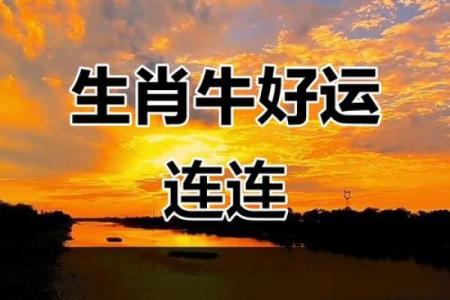 五心十八千万端指什么生肖(五心十八千万端指什么生肖数字)