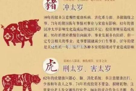 35岁属什么生肖哪年出生的 35岁属什么的