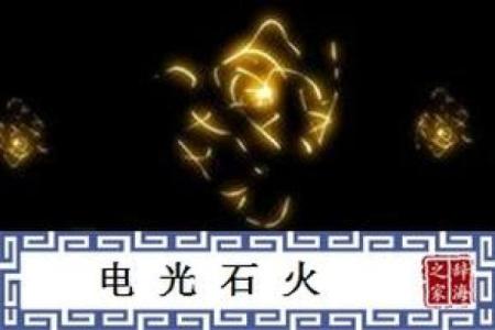 电光闪耀打一生肖