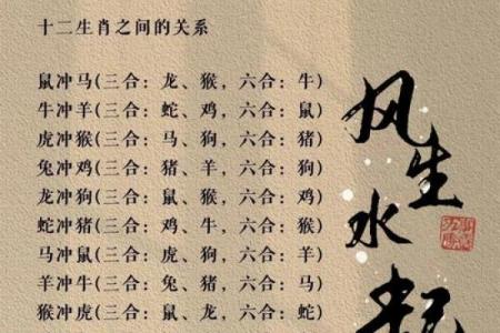 属蛇跟属鼠的合不合 蛇鼠生肖配对合适吗