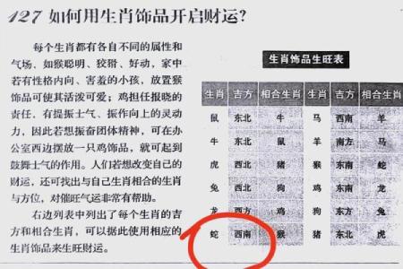 97年属于什么生肖年(97年属于什么生肖年本命年)