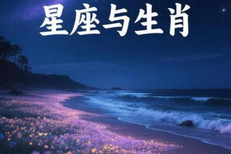星光四射在生肖文化中具体象征着哪一个吉祥属相？