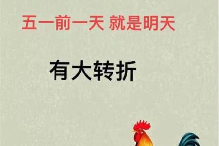 ‌晨风清爽打一生肖 → 鸡‌（晨风拂晓，金鸡清鸣）