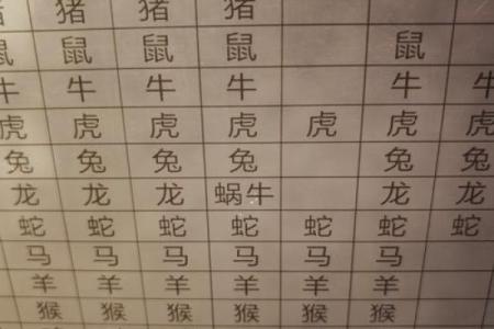 00后是属什么生肖 00年属什么生肖