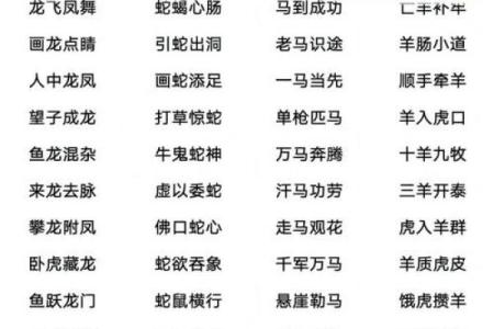 时断时续是什么生肖(时断时续是成语吗)