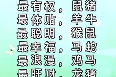 热门生肖是指什么生肖 热门的生肖