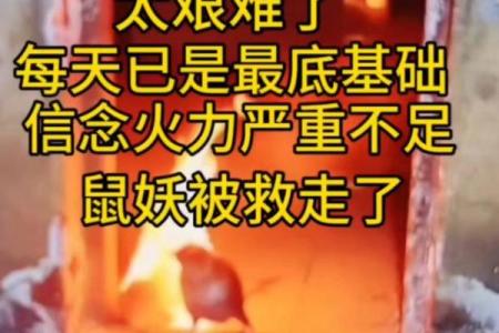 ‌晚上出行打一生肖 → 鼠‌（子夜鼠行，暗影潜踪）