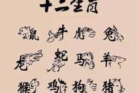 1957年属什么属相 1957年属什么生肖属相