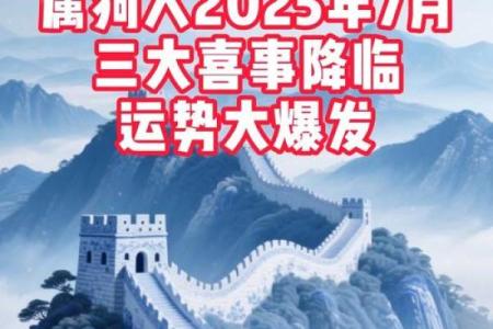属狗2021年运势及运程每月运程 生肖狗今年每月运势