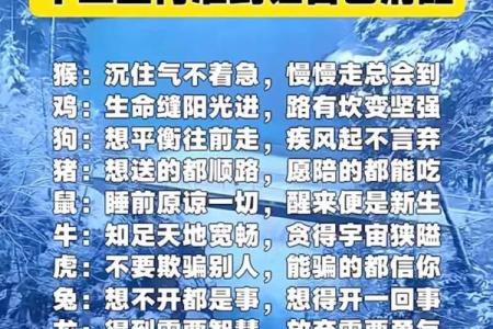 从生肖性格分析来看，秀外慧中指的是哪一个生肖的最佳代表？