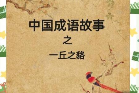 ‌一丘之貉指什么生肖 → 狐（狐貉同丘，代指猴狡）‌