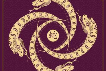 地动山摇所形容的生肖动物特征和象征意义是什么？
