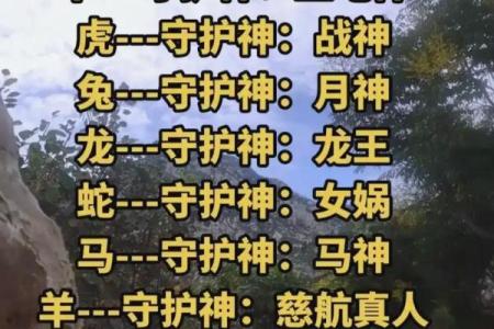 故作姿态是指哪个生肖？深入探讨十二生肖中的表演型人格