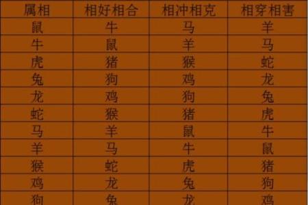 从生肖角度分析最佳配偶配对，寻找你的命定良缘