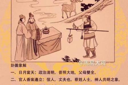 无孔不入打一个生肖(无孔不入打一个生肖是什么)