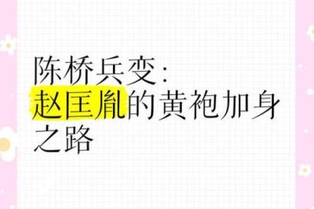 黄袍加身打一生肖正确答案是什么？历史典故由来与详细解析