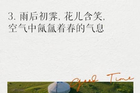 春雨如丝猜一生肖(春雨如丝什么意思)