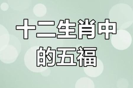强指什么生肖 强指什么生肖