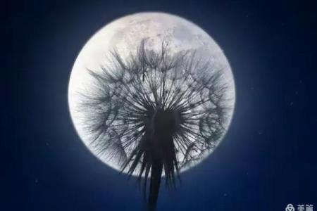 请问十二生肖中哪个动物最符合口若悬河能言善辩的特征？