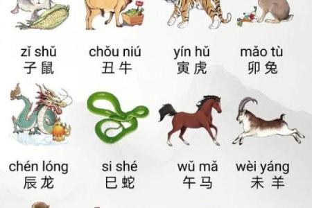 水送山迎正确一个动物(水送山迎正确一个动物生肖)