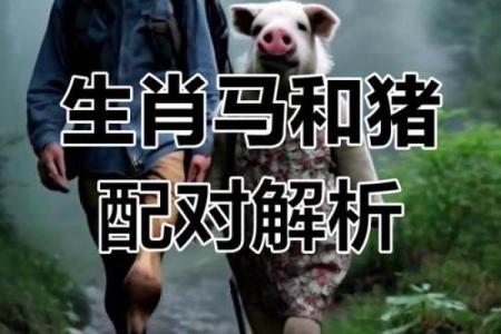 嫉恶好善指的是哪个生肖，它的性格特点有哪些