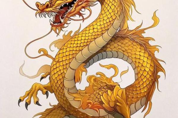 ‌12生肖谁是天之骄子 → 龙（龙御九霄，天命骄子）