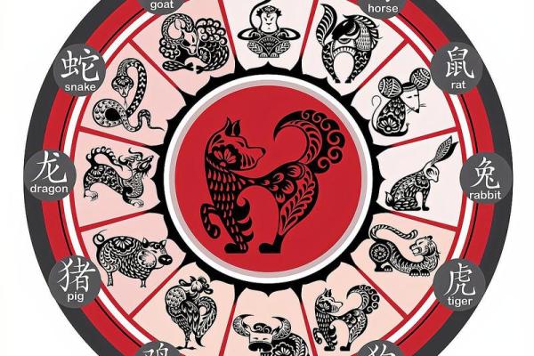 眼花缭乱是什么生肖