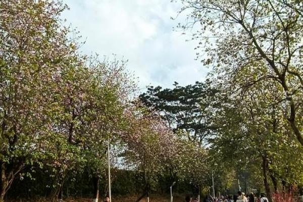 徒劳无功是什么生肖 徒劳无功空嗟叹打一准确生肖