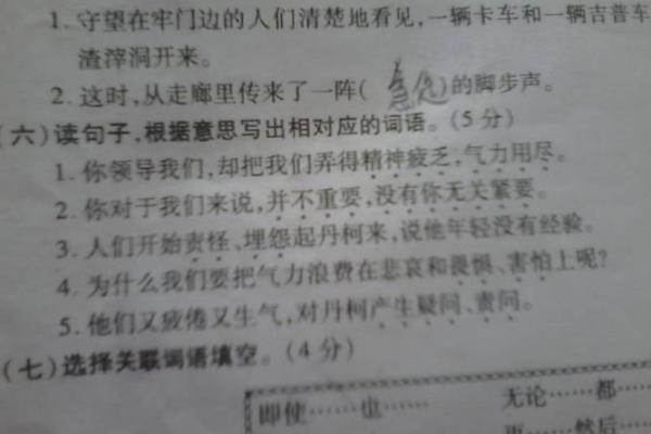 宝马香车打一生肖的谜底是什么？求详细解释和答案分析