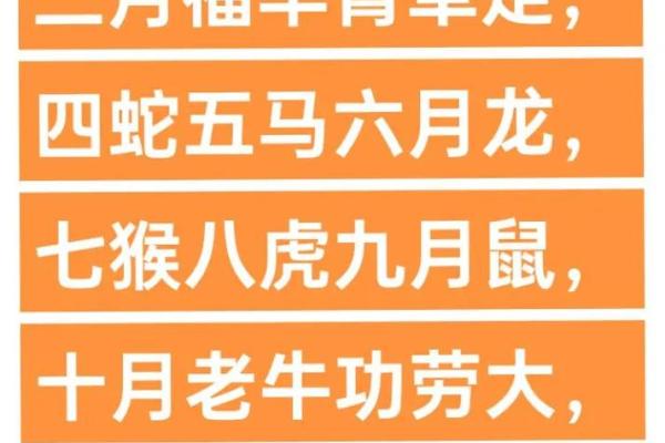 2011什么年(2011什么年生肖)