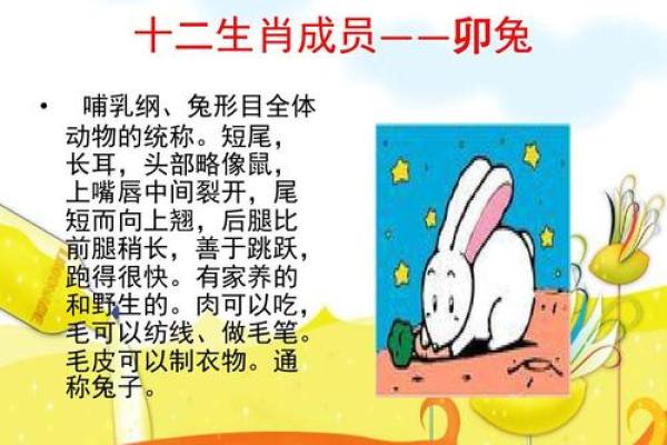 生肖两头担心的含义解析，哪些生肖容易陷入着种状态？