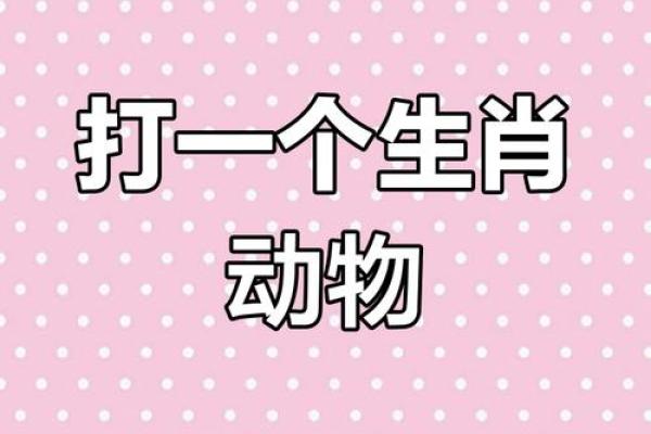 神机妙算打一个生肖