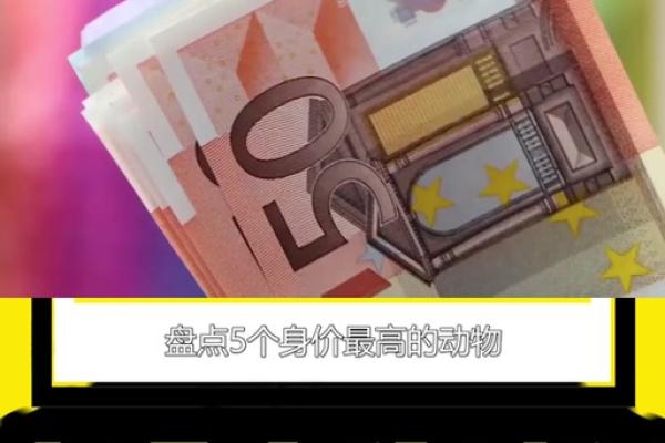 身价过亿的三大生肖 身价过亿的三大生肖是谁